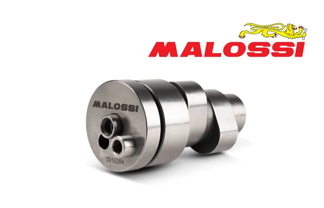 malossi-power-arbre-cames-italjet-dragster-300-tuning image 1