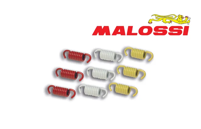 malossi-delta-ressorts-embrayage-racing-dragster-125-300 image 1